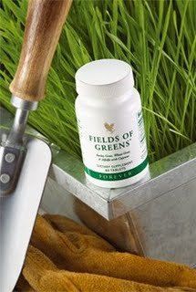 FIELDS OF GREENS - FIBRAS VERDES